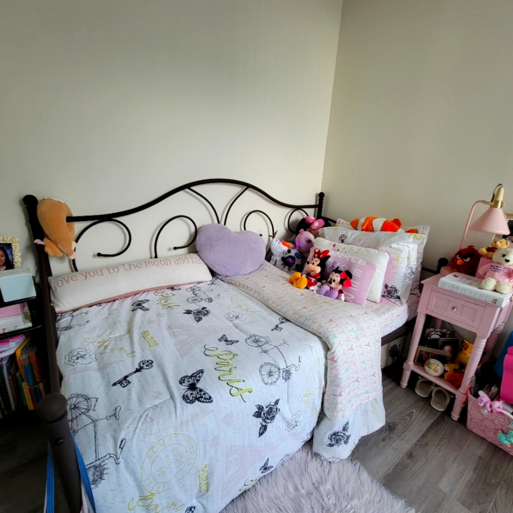 Frame and mattress(Twin Size)